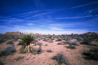 Картинка природа пустыни простор