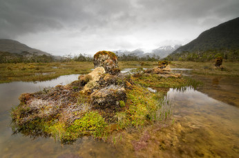 Картинка природа реки озера простор