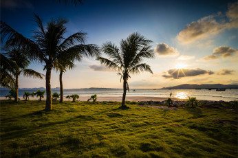 Картинка природа тропики простор