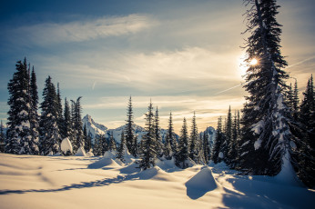 Картинка природа зима простор