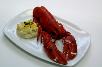 Картинка еда рыба +морепродукты +суши +роллы лобстер