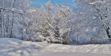 Картинка природа зима простор