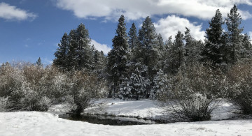 Картинка природа зима простор