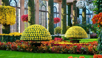 Картинка природа парк оранжерея