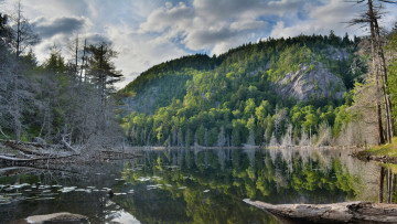 Картинка природа реки озера простор