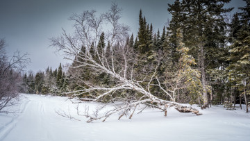 Картинка природа зима простор