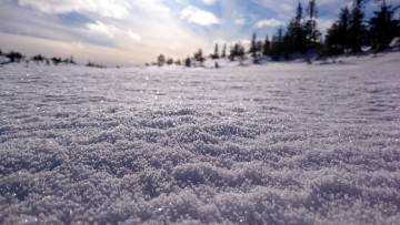 Картинка природа зима снег