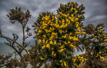 Картинка природа деревья простор