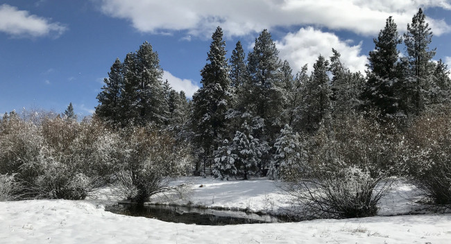 Обои картинки фото природа, зима, простор