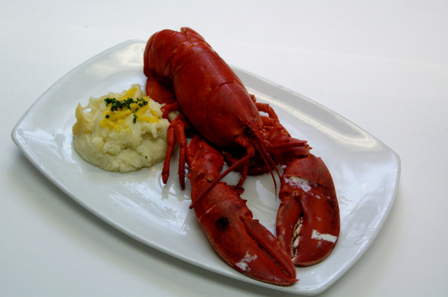 Обои картинки фото еда, рыба,  морепродукты,  суши,  роллы, лобстер