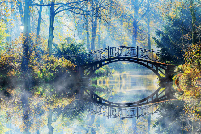 Обои картинки фото города, - мосты, парк, кусты, речка, осень, деревья, мост