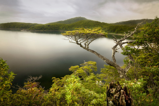 Обои картинки фото природа, пейзажи, простор