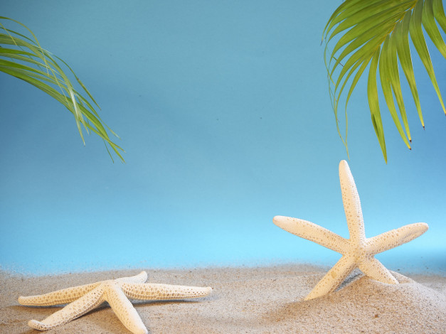 Обои картинки фото разное, ракушки,  кораллы,  декоративные и spa-камни, песок, звезды, морские