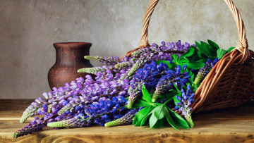 обоя цветы, люпин, корзинка, кувшин