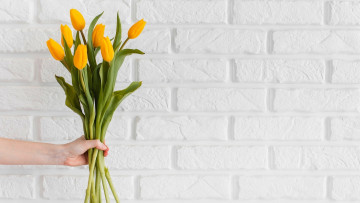 Картинка цветы тюльпаны желтые бутоны