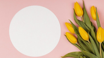 Картинка цветы тюльпаны желтые бутоны