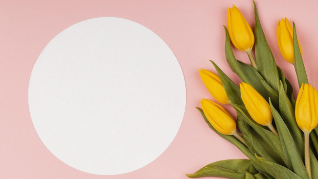 Обои картинки фото цветы, тюльпаны, желтые, бутоны