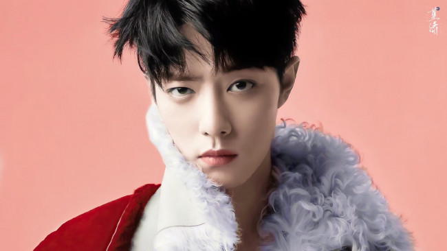 Обои картинки фото мужчины, xiao zhan, актер, лицо, воротник