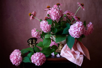 Картинка цветы букеты +композиции гортензия эхинацея