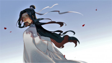 Картинка аниме mo+dao+zu+shi лань ванцзи