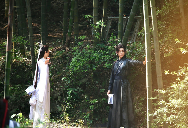 Обои картинки фото хаски и его учитель белый кот, разное, знаменитости, ло, юнси