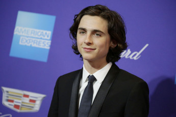 обоя timothee chalamet, мужчины, актер, костюм