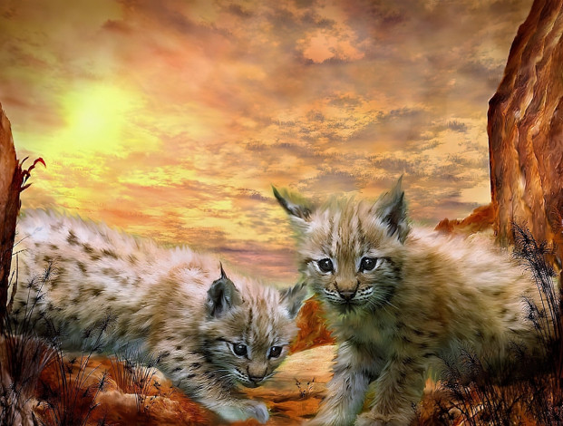 Обои картинки фото рисованное, животные,  рыси, рысята, скалы