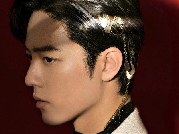 Обои картинки фото мужчины, xiao zhan, лицо, украшения