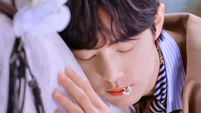 Обои картинки фото мужчины, xiao zhan, актер, цветок, лошадь