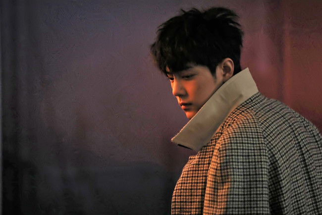 Обои картинки фото мужчины, xiao zhan, актер, пальто