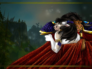 обоя видео игры, world of warcraft, пара, плащ, объятия