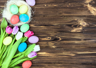 обоя праздничные, пасха, яйца, гнездо, тюльпаны, цветы