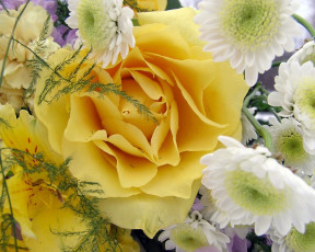 Картинка букет цветы разные вместе