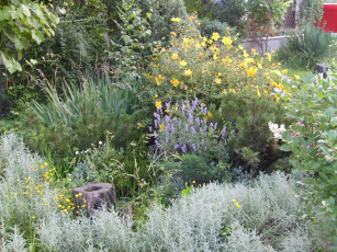 Картинка цветы разные вместе