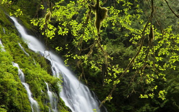 Картинка природа водопады