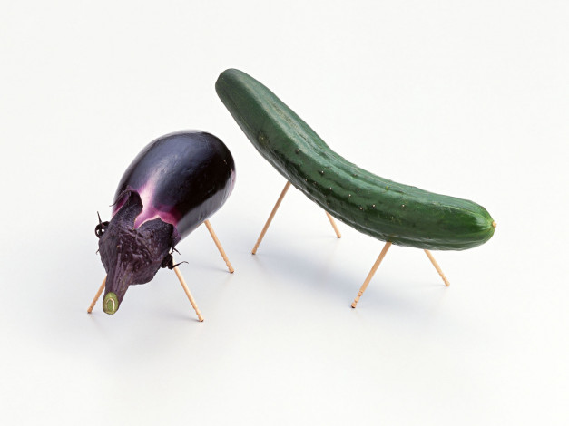 Обои картинки фото юмор, приколы