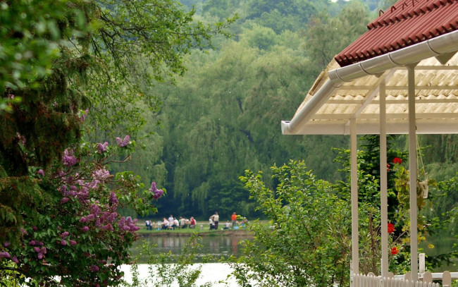 Обои картинки фото природа, парк