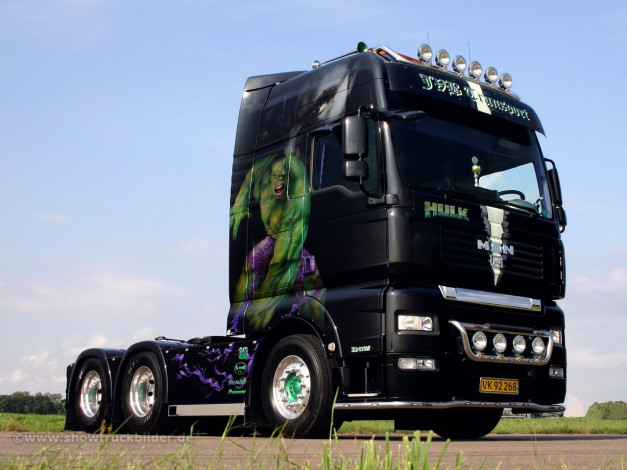 Обои картинки фото автомобили, man