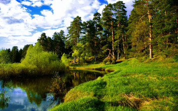 Картинка природа реки озера