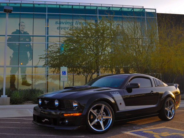 Обои картинки фото автомобили, mustang