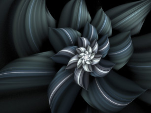 Картинка 3д графика fractal фракталы фон темный цвета узор линии