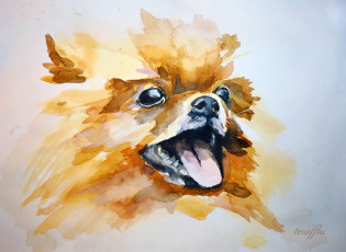 Картинка рисованные животные собаки шпиц