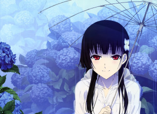 Картинка аниме sankarea