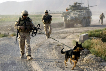 Картинка оружие армия спецназ military army