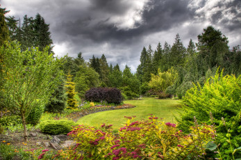 Картинка природа парк queen elizabeth vancouver канада