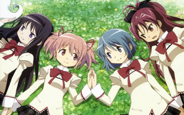 Картинка аниме mahou shoujo madoka magika magica sakura kyouko kaname akemi homura miki sayaka