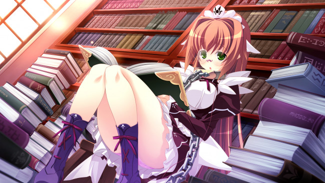 Обои картинки фото kouyoku, no, soleil, vii`s, world, аниме, библиотека, книги