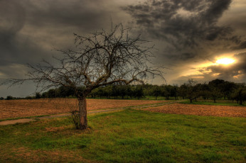 Картинка германия гессен хунген природа пейзажи пейзаж