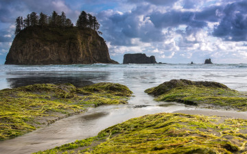 Картинка olympic national park washington природа побережье скалы тихий океан вашингтон национальный парк олимпик