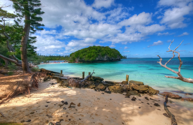 Обои картинки фото природа, побережье, океан, пляж, островок, лес, горизонт